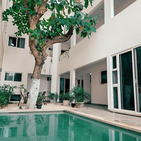Cozy Studios Zazil-Ha Playa del Carmen Zewnętrze zdjęcie