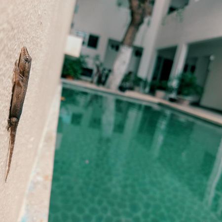 Cozy Studios Zazil-Ha Playa del Carmen Zewnętrze zdjęcie
