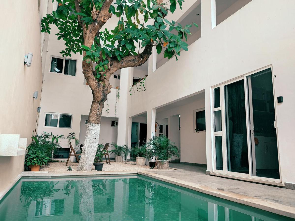 Cozy Studios Zazil-Ha Playa del Carmen Zewnętrze zdjęcie