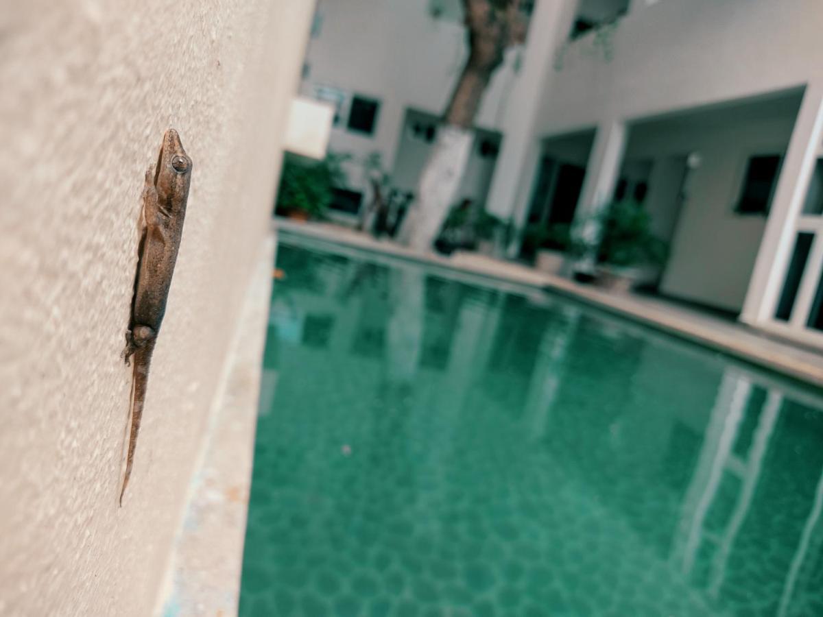 Cozy Studios Zazil-Ha Playa del Carmen Zewnętrze zdjęcie
