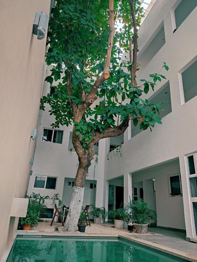 Cozy Studios Zazil-Ha Playa del Carmen Zewnętrze zdjęcie