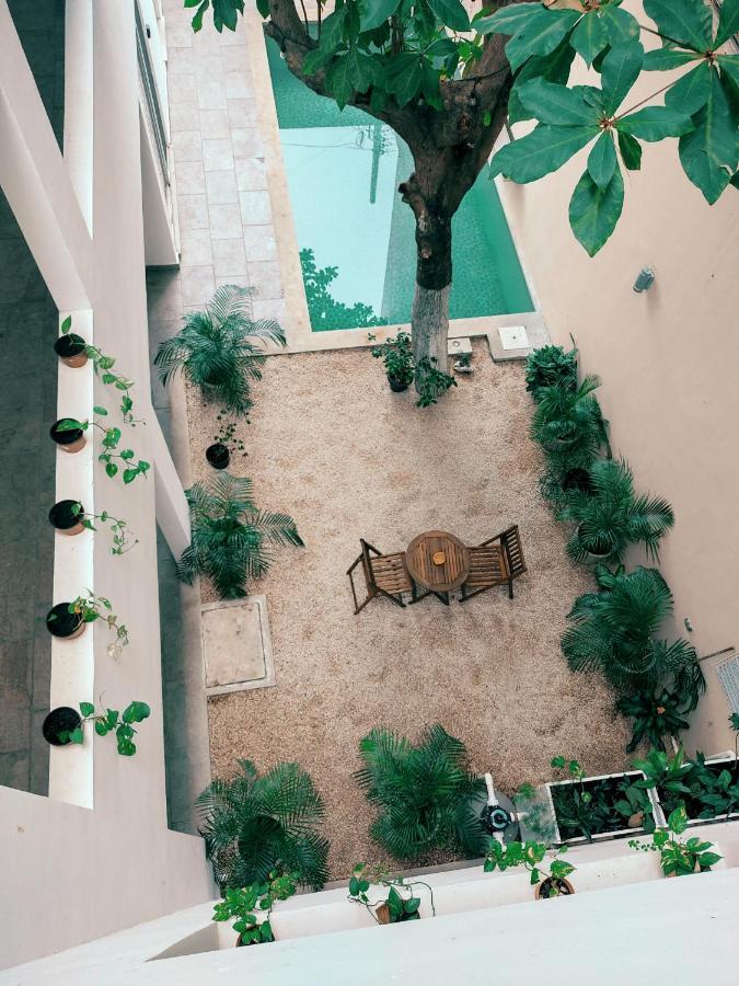 Cozy Studios Zazil-Ha Playa del Carmen Zewnętrze zdjęcie